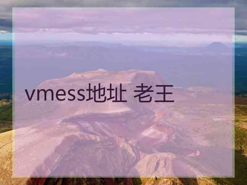 vmess地址 老王