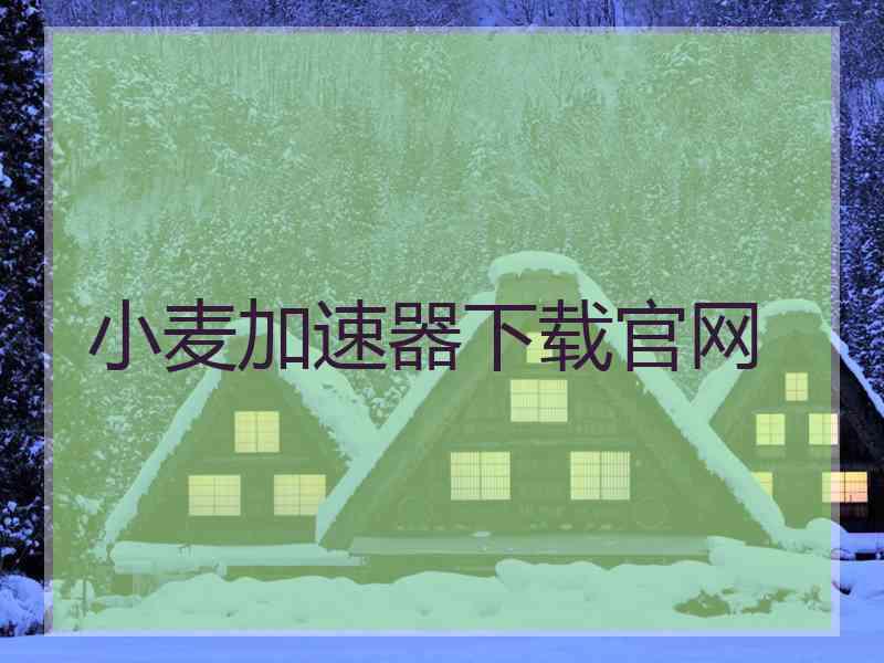 小麦加速器下载官网