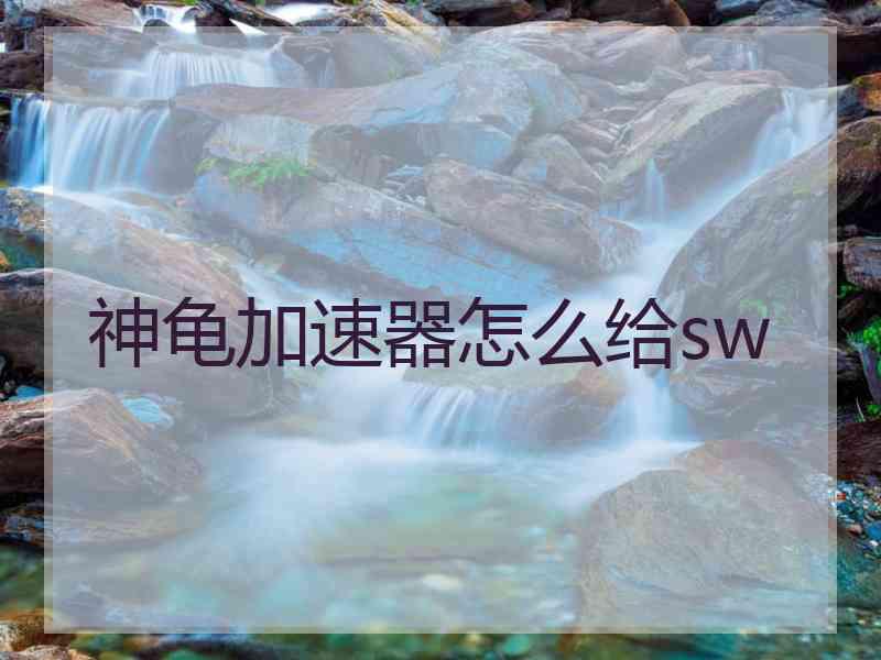 神龟加速器怎么给sw