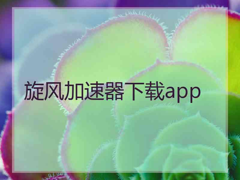 旋风加速器下载app