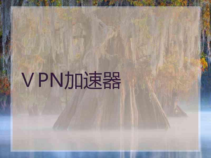 ⅤPN加速器