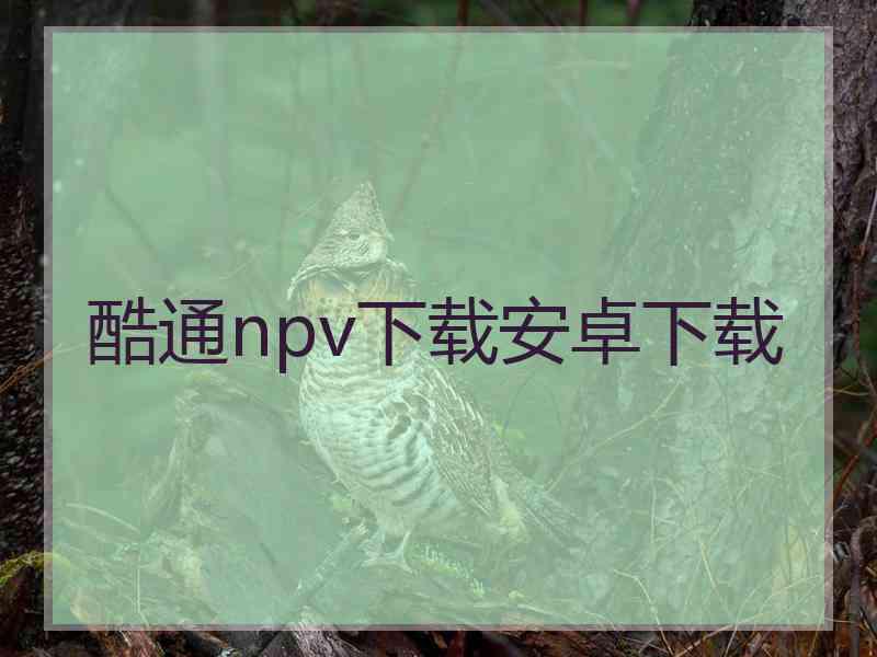 酷通npv下载安卓下载