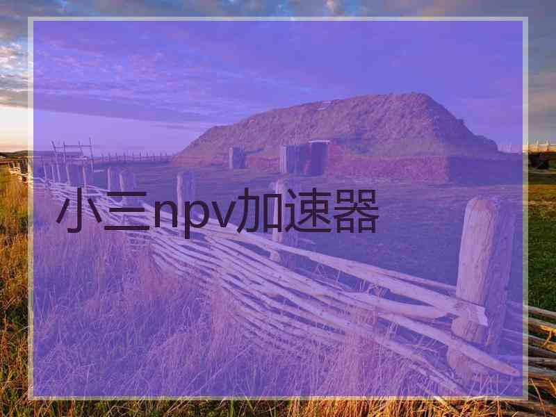 小三npv加速器