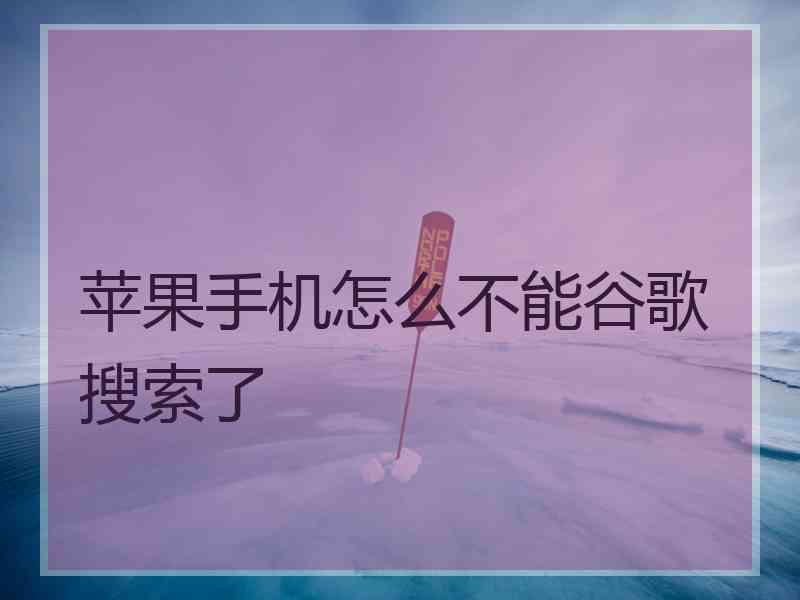 苹果手机怎么不能谷歌搜索了