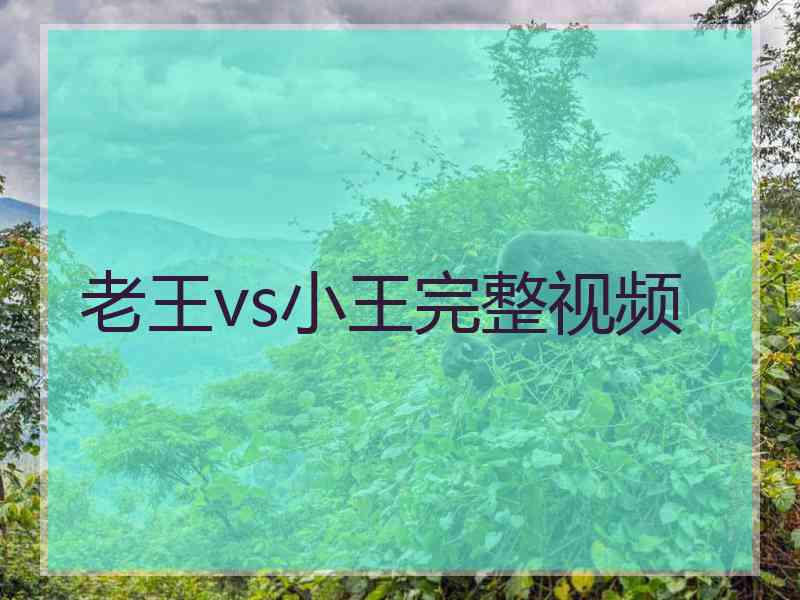 老王vs小王完整视频