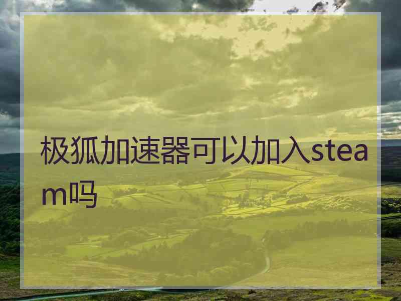 极狐加速器可以加入steam吗