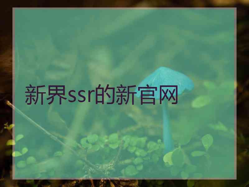 新界ssr的新官网