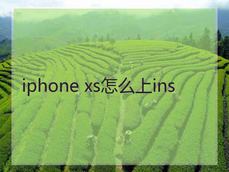 iphone xs怎么上ins