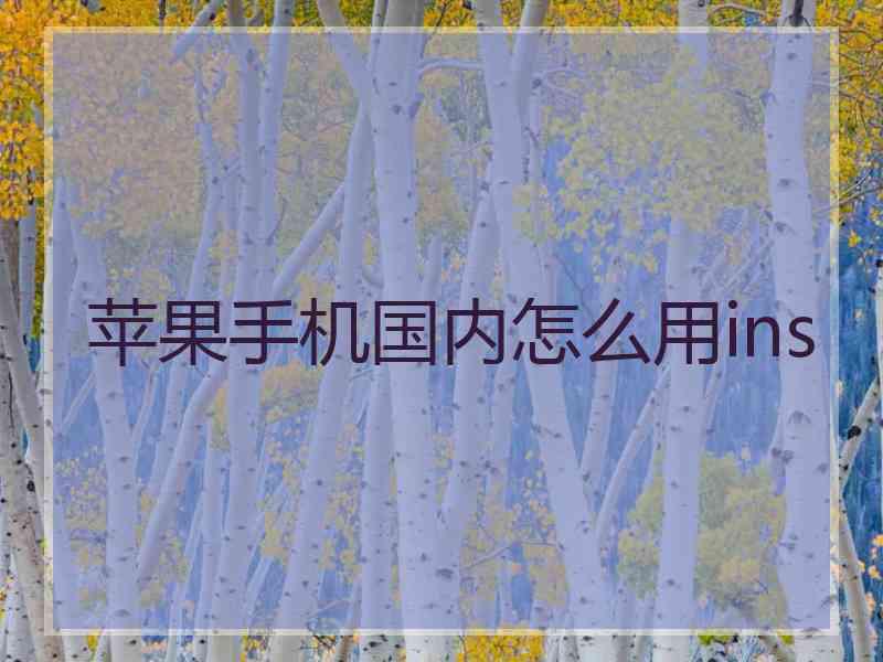 苹果手机国内怎么用ins