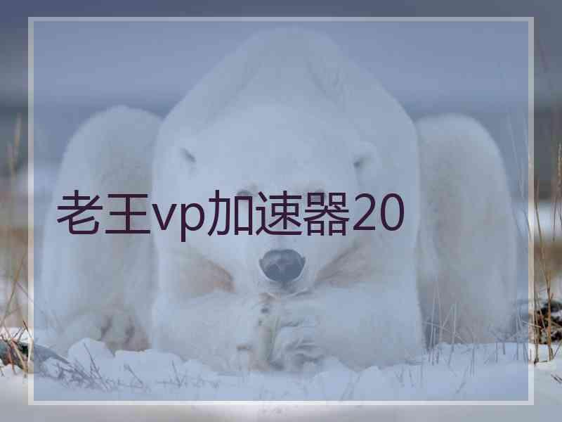 老王vp加速器20