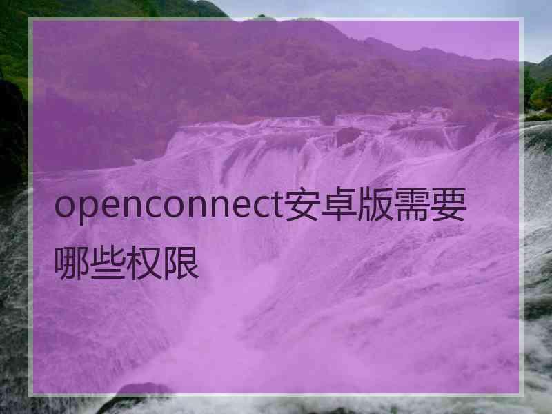 openconnect安卓版需要哪些权限