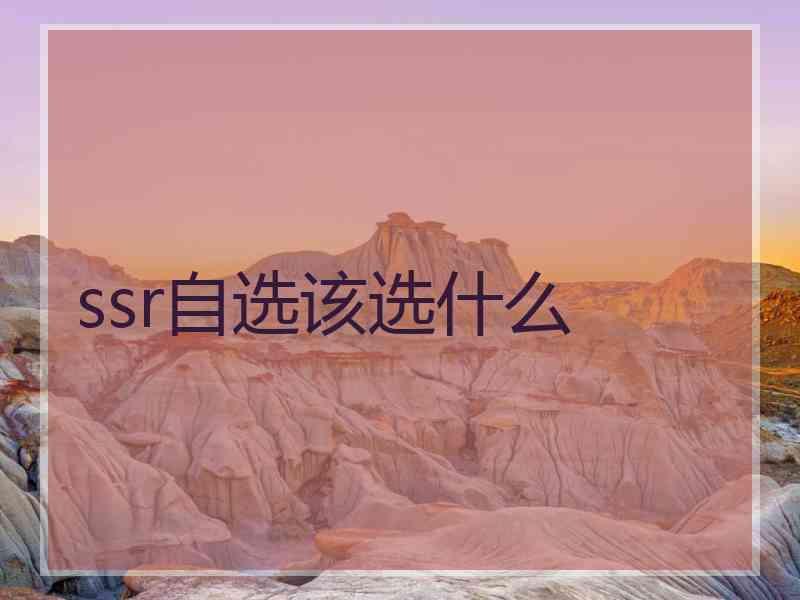 ssr自选该选什么