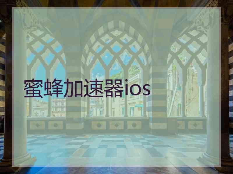 蜜蜂加速器ios