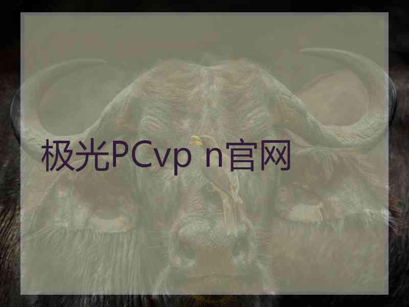 极光PCvp n官网