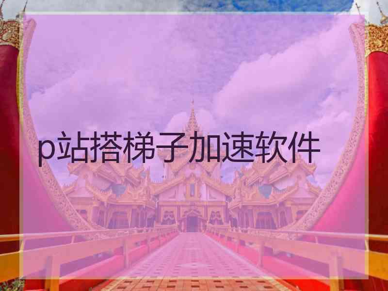 p站搭梯子加速软件