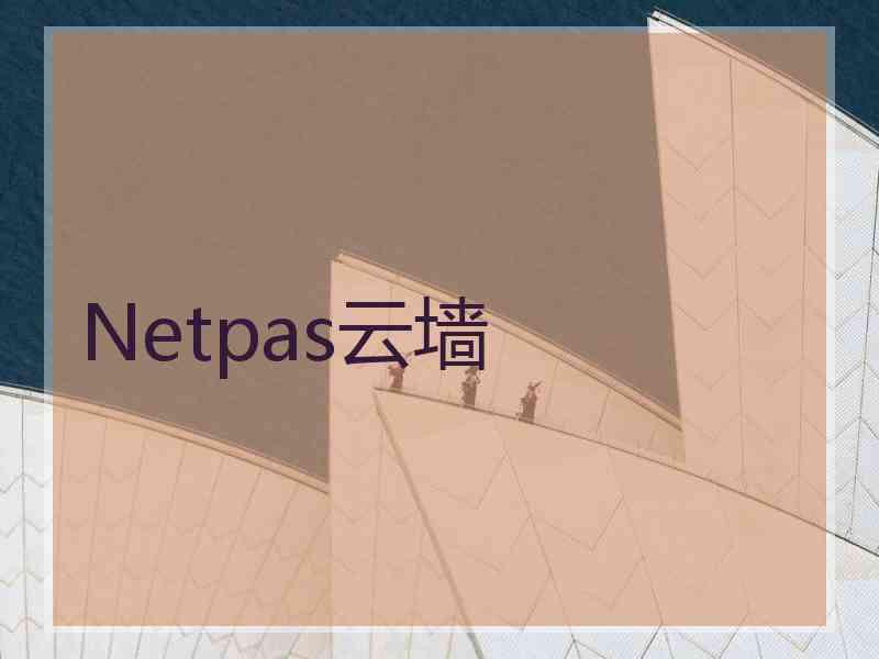 Netpas云墙