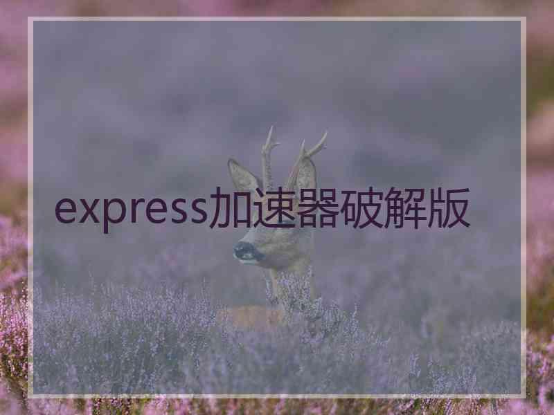 express加速器破解版