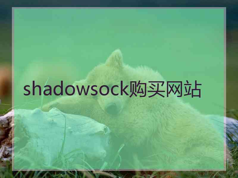 shadowsock购买网站