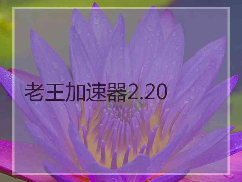 老王加速器2.20