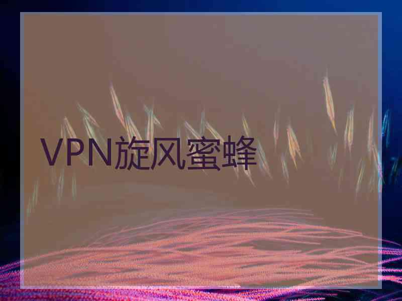 VPN旋风蜜蜂