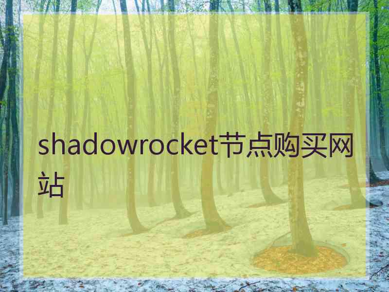 shadowrocket节点购买网站