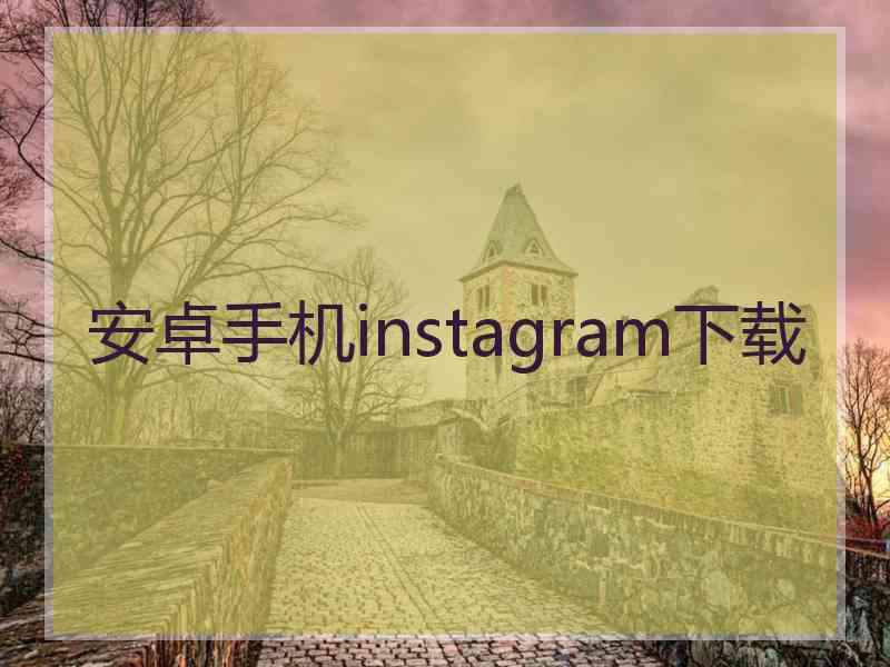 安卓手机instagram下载