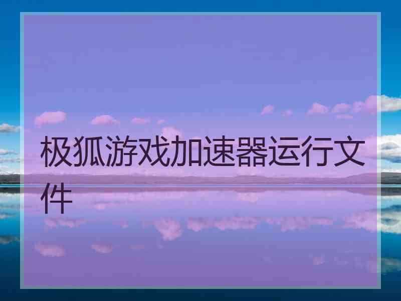 极狐游戏加速器运行文件