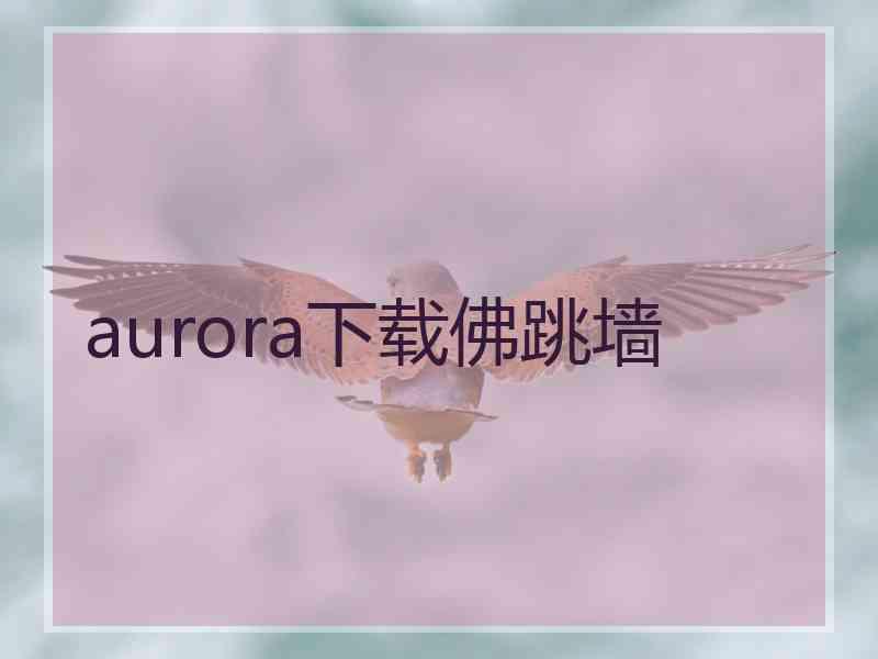 aurora下载佛跳墙