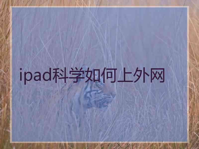 ipad科学如何上外网