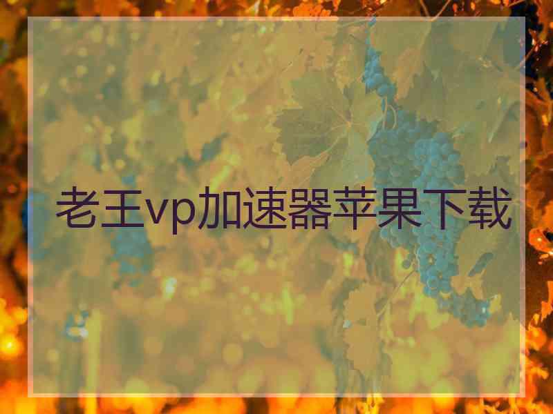 老王vp加速器苹果下载