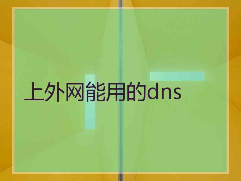 上外网能用的dns