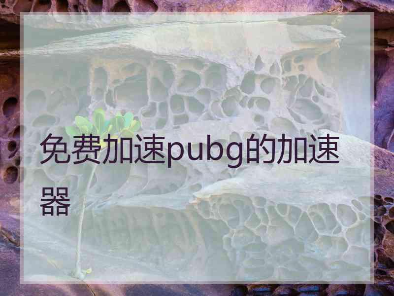 免费加速pubg的加速器