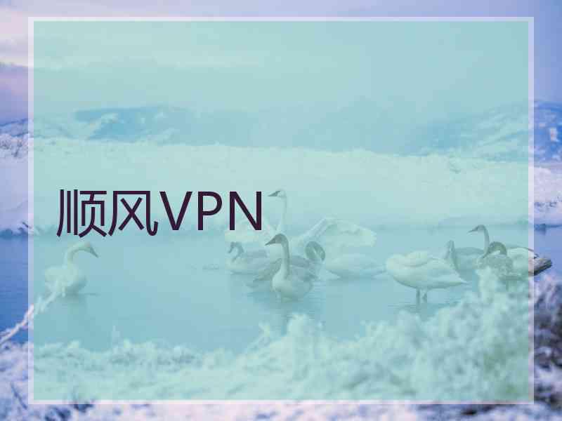 顺风VPN