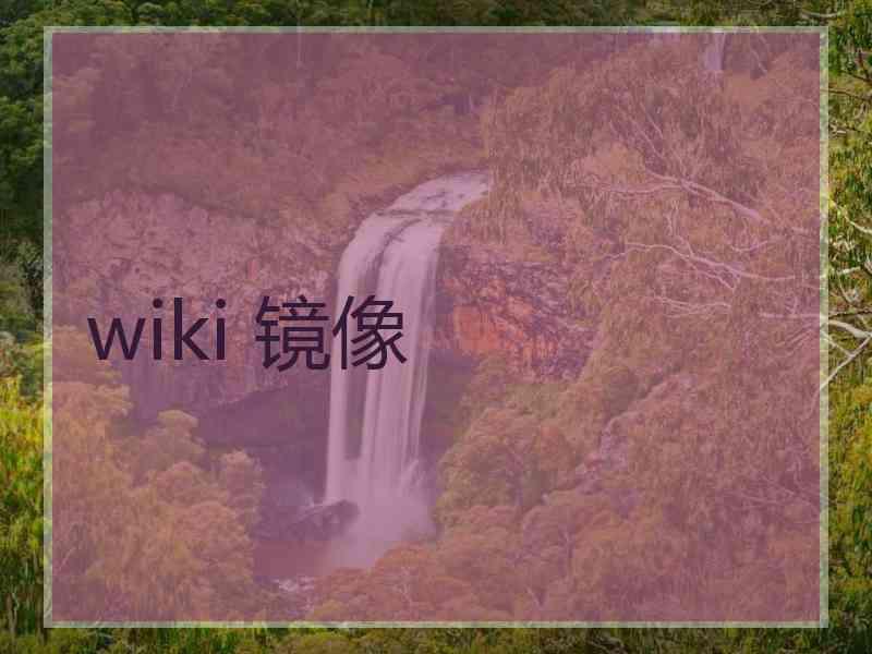 wiki 镜像