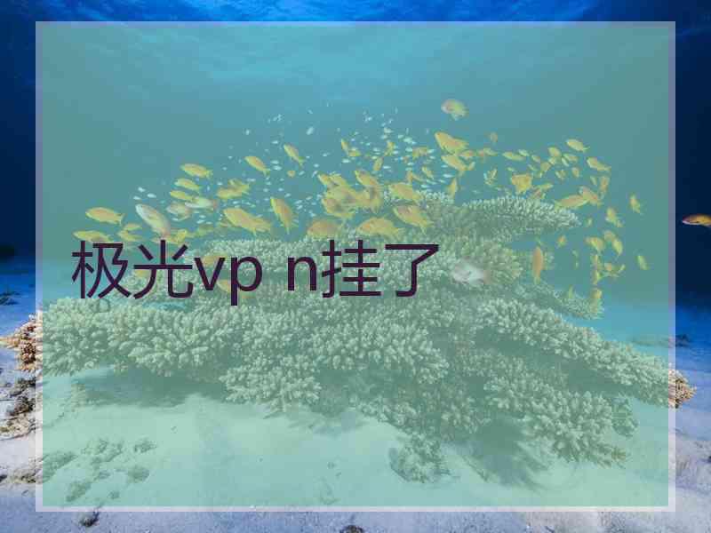 极光vp n挂了