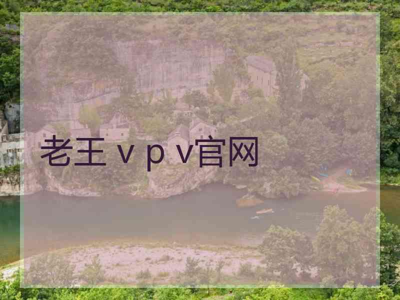 老王 v p v官网