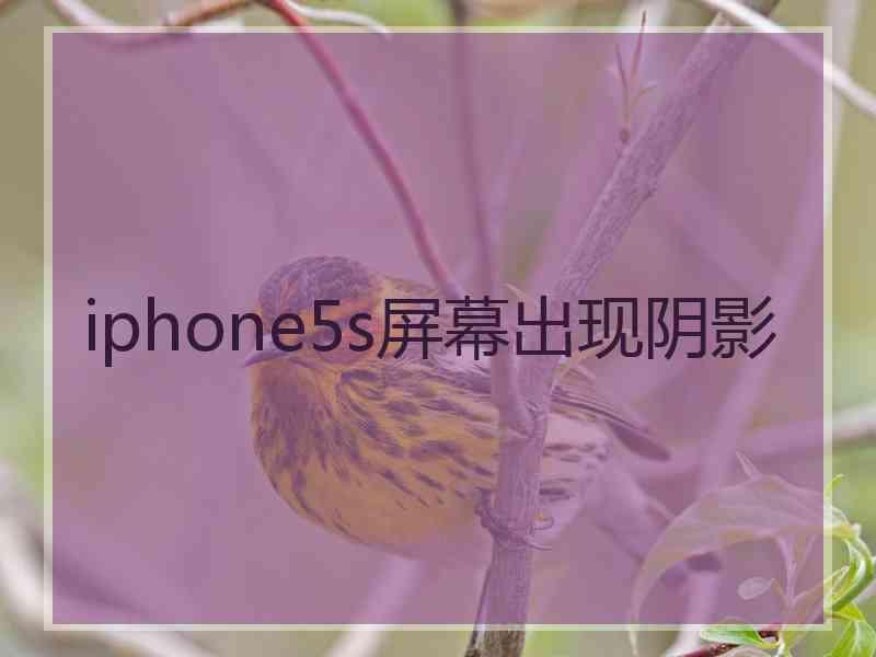 iphone5s屏幕出现阴影