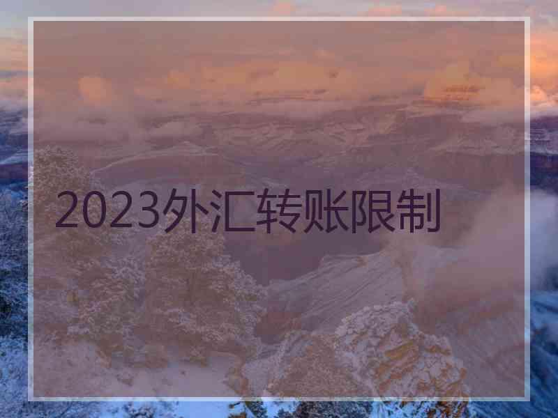 2023外汇转账限制