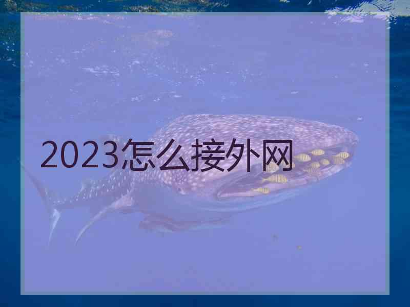 2023怎么接外网