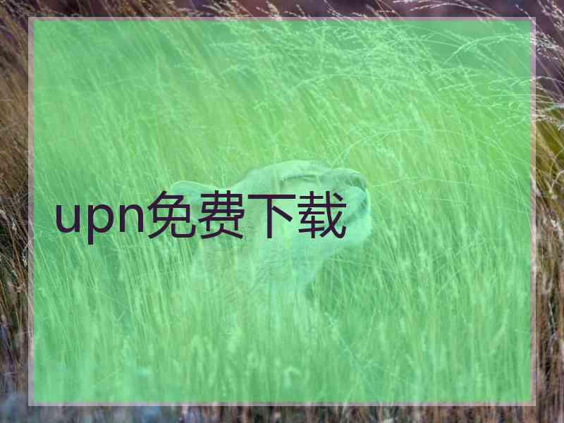 upn免费下载