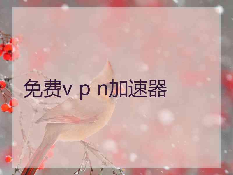 免费v p n加速器