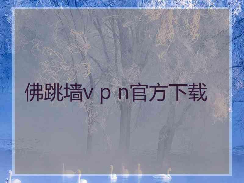 佛跳墙v p n官方下载