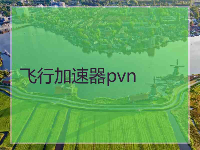 飞行加速器pvn