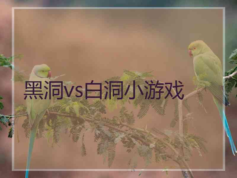 黑洞vs白洞小游戏