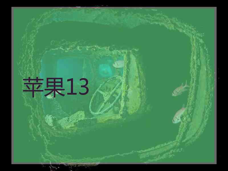 苹果13