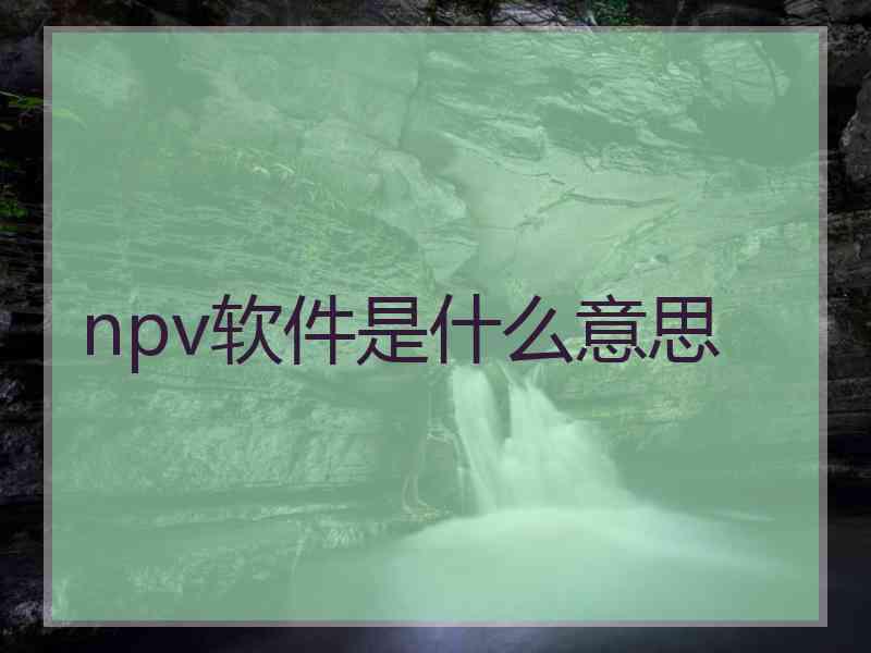 npv软件是什么意思