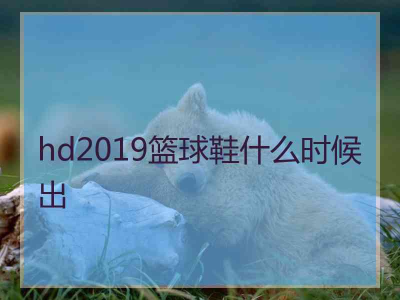 hd2019篮球鞋什么时候出