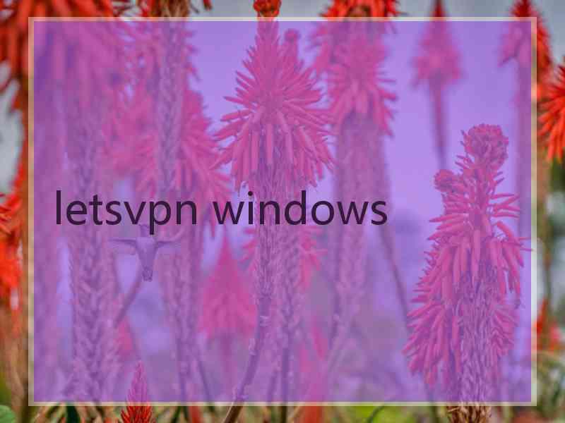 letsvpn windows