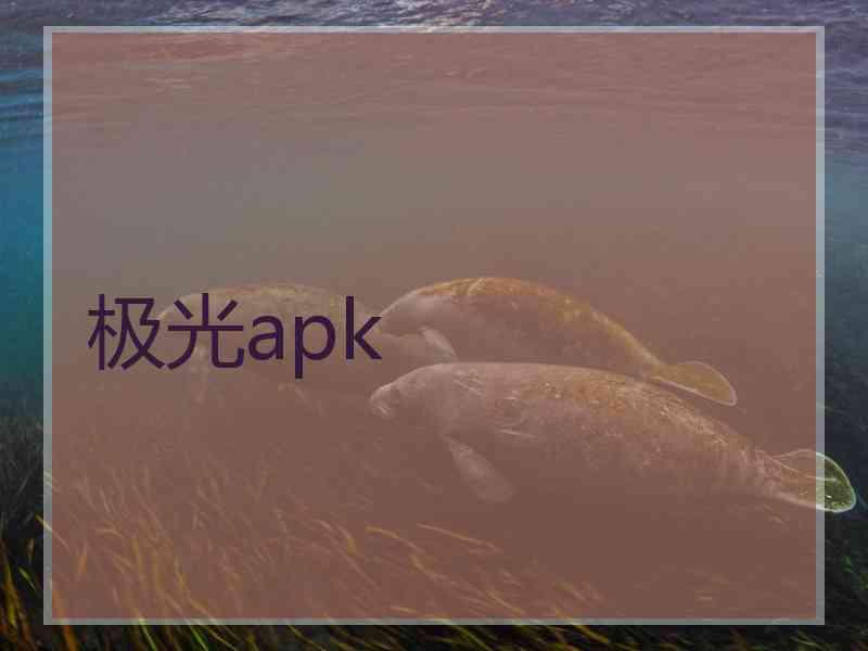 极光apk