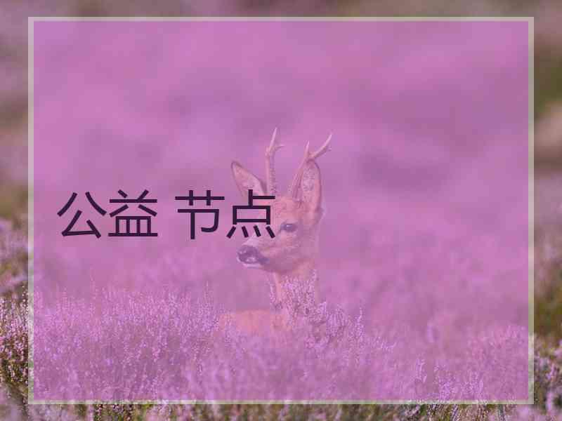 公益 节点